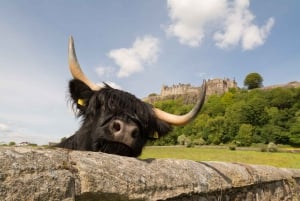 Från Edinburgh: Loch Lomond, Stirling Castle & Kelpies Tour