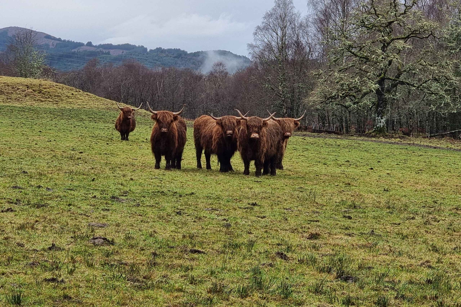 Z Edynburga: Wycieczka prywatna do Loch Ness z transferem