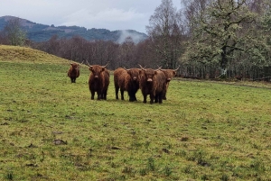 Z Edynburga: Wycieczka prywatna do Loch Ness z transferem