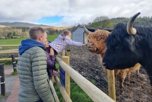 Z Edynburga: Wycieczka prywatna do Loch Ness z transferem