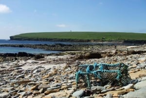 Desde Edimburgo: Excursión de 5 días por las Orcadas y el Lejano Norte