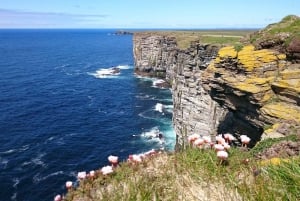 From Edinburgh: Orkney and The Far North 5-Day Tour