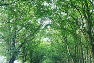 Från Edinburgh: Privat anpassningsbar Highlands Driving Tour