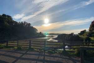 Från Edinburgh: Privat anpassningsbar Highlands Driving Tour