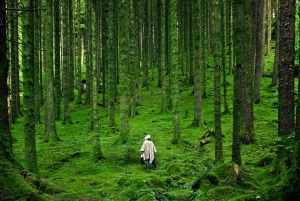 Från Edinburgh: Privat tur i högländerna och Isle of Skye