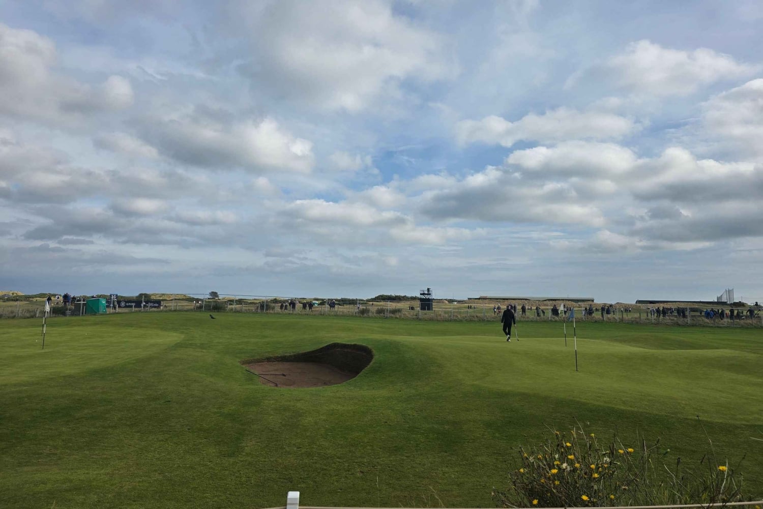 Desde Edimburgo: Excursión de un día a St. Andrews para grupos pequeños(1-4)