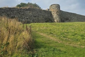 Desde Edimburgo: Excursión de un día a St. Andrews para grupos pequeños(1-4)