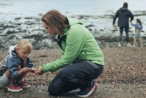 Au départ d'Édimbourg : Andrews, château de Stirling et excursion à la découverte du whisky