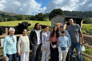 Au départ d'Édimbourg : Andrews, château de Stirling et excursion à la découverte du whisky