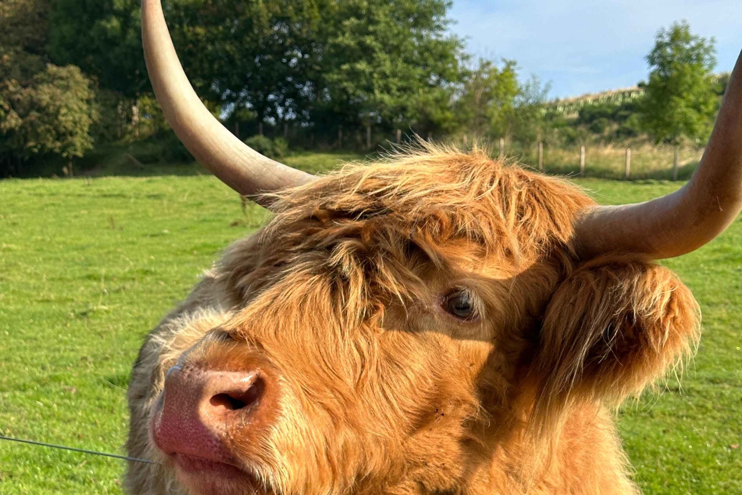 Fra Edinburgh: Stirling Castle, Loch Lomond og whisky-tur