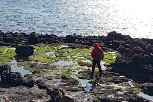 A partir de Edimburgo: Stirling, Highlands e Loch Ness – Excursão de 5 dias