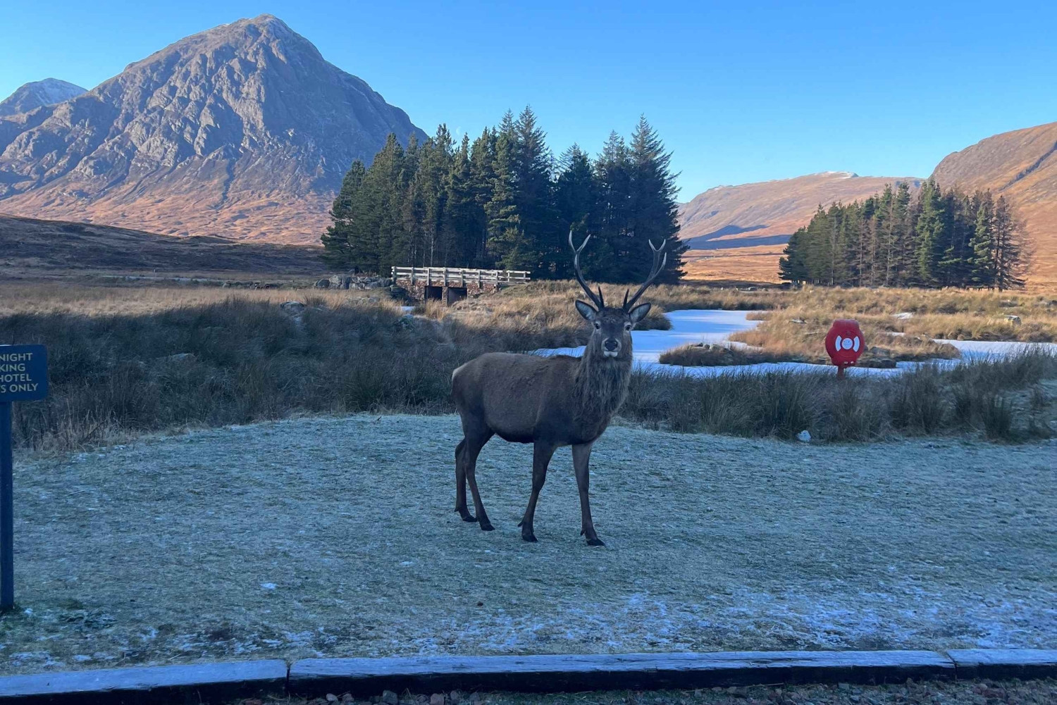 Desde Edimburgo: excursión de un día a los Kelpies, Glencoe y el lago Lomond.