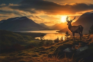 Desde Edimburgo: excursión de un día a los Kelpies, Glencoe y el lago Lomond.