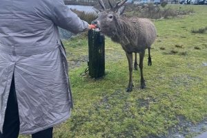 Desde Edimburgo: excursión de un día a los Kelpies, Glencoe y el lago Lomond.