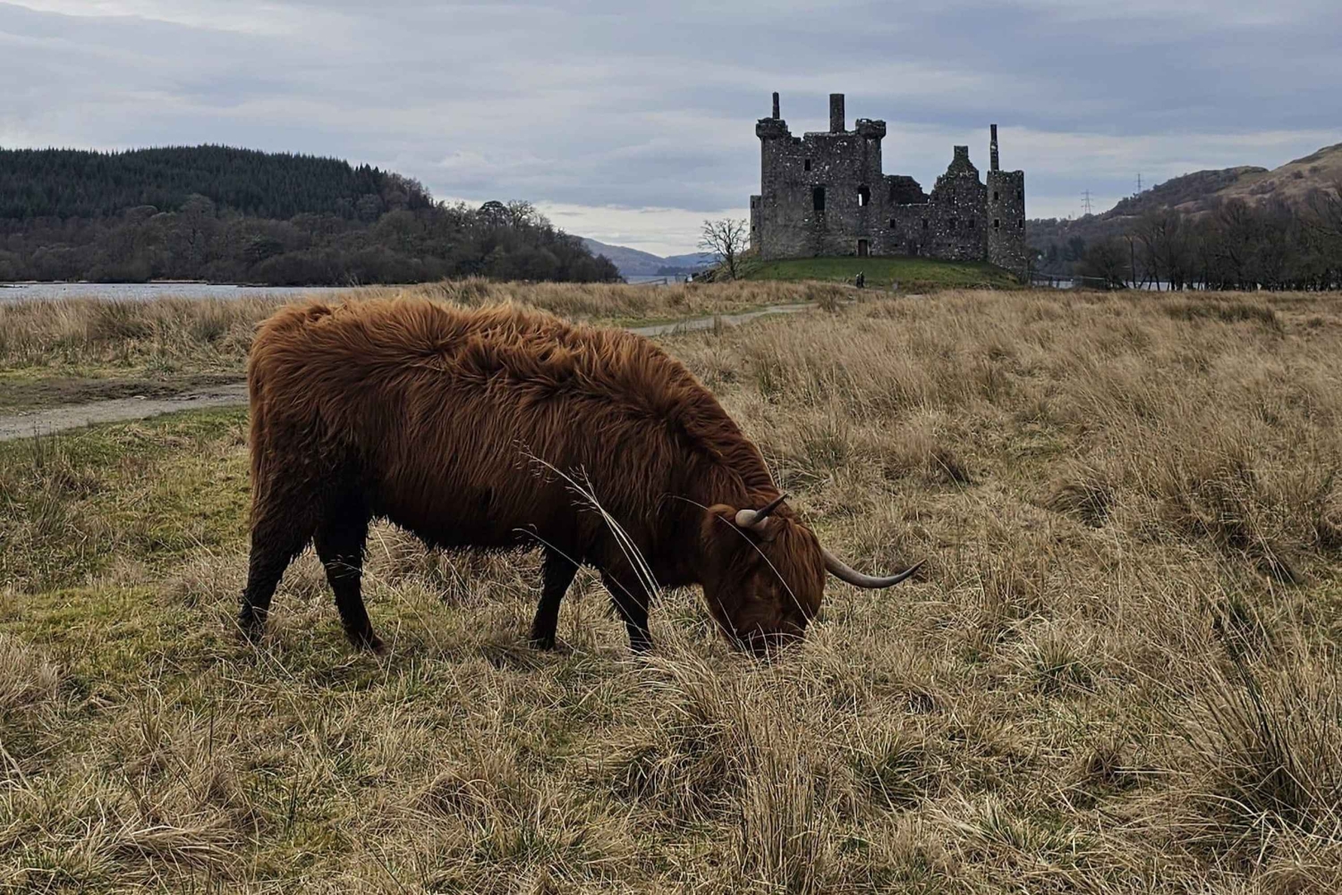 Fra Edinburgh: Luksuriøs privat dagstur til West Highlands
