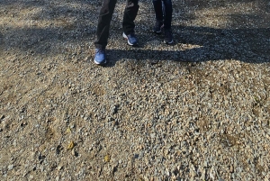 Fra Edinburgh: Luksuriøs privat dagstur til West Highlands