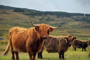 Fra Glasgow: Dagstur til Kelpies, Glencoe og Loch Lomond