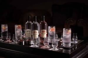 Gin Tasting Experience with a Perfect Serve