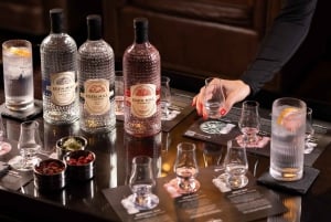 Gin Tasting Experience with a Perfect Serve