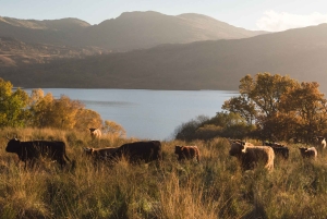 Экскурсия по Глазго и шотландским озерам на итальянском языке