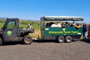 Glasgow: Wycieczka przyczepą z krowami rasy Highland Cow i domowymi wypiekami