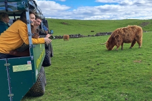 Glasgow: Highland Cow Trailer Tour med hjemmebag