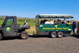 Glasgow: Highland Cow Trailer Tour med hjemmebag
