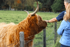 グラスゴー：ネス湖、グレンコー、ヘアリー・クー、ハイランド地方