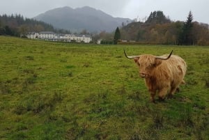 Greenock: Shore Excursion to Stirling Castle and Loch Lomond
