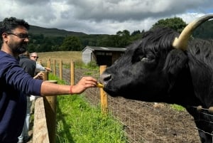 Greenock: Shore Excursion to Stirling Castle and Loch Lomond