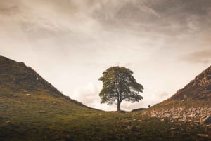 Hadrian's Wall & Römisches Britannien 1-Tages-Tour ab Edinburgh