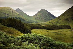 Les joyaux cachés des Highlands : Une visite privée d'une journée en toute tranquillité
