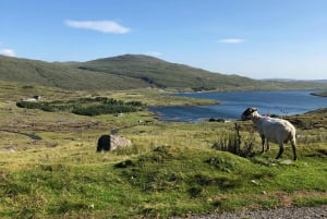 Ukryte klejnoty Highlands: Spokojna prywatna jednodniowa wycieczka