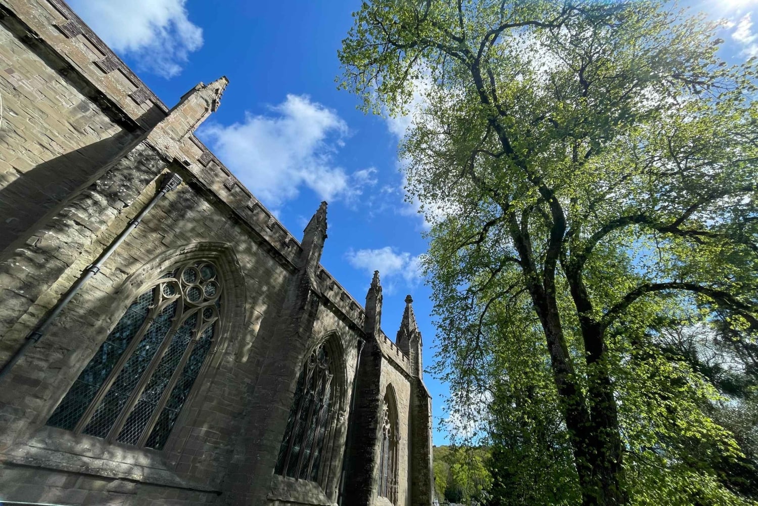 Delizie delle Highlands: Un'escursione panoramica di un giorno nelle Highlands