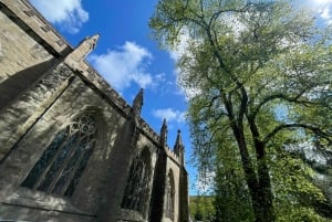Delizie delle Highlands: Un'escursione panoramica di un giorno nelle Highlands
