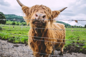Isle of Skye and Outer Hebrides 6-Day Tour from Edinburgh