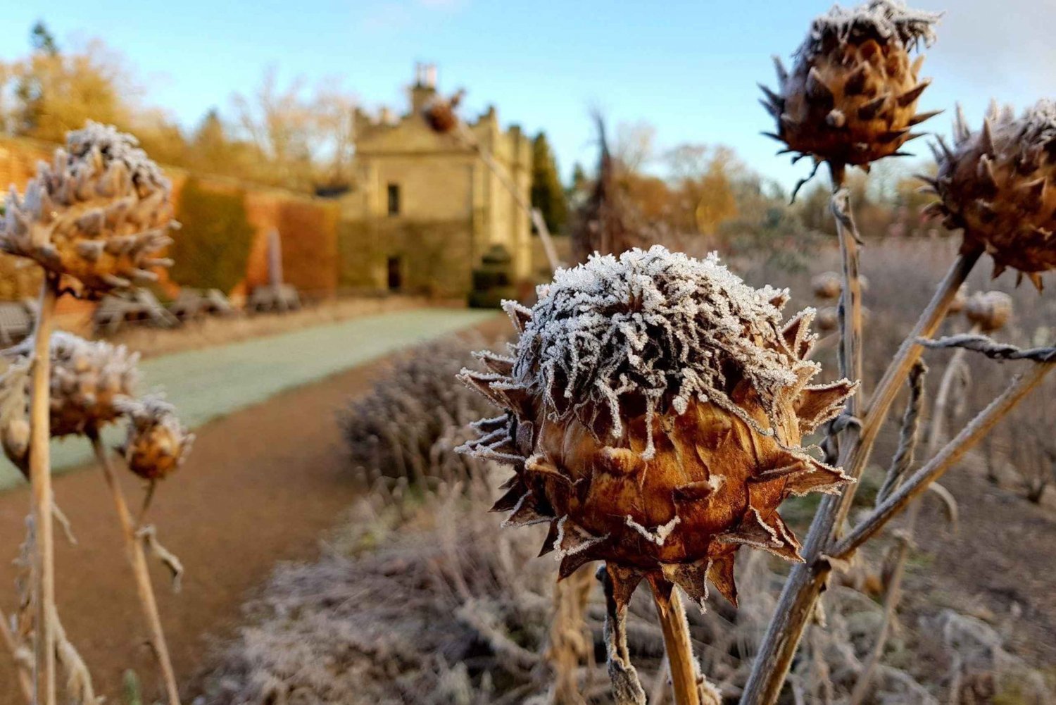 Kelso: Ingresso para os Jardins de inverno do Castelo de Floors