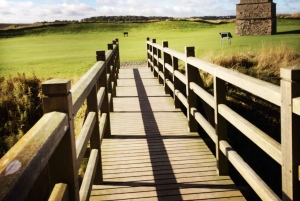 Royaumes et châteaux : De Holy Island à Harry Potter