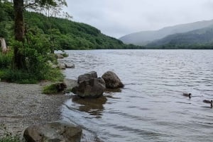 Tour di un giorno del Loch Lomond e delle Highlands