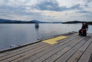 Tour di un giorno del Loch Lomond e delle Highlands