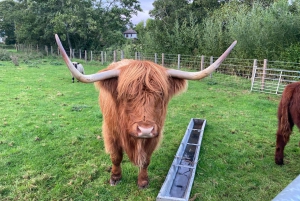 Loch Ness & Highlands Abenteuer