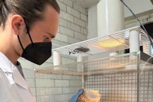 Makars Mushroom Farm Summerhall Tour with DIY Block Making