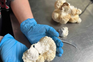 Makars Mushroom Farm Summerhall Tour with DIY Block Making