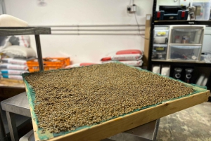 Makars Mushroom Farm Summerhall Tour with DIY Block Making