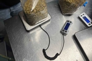 Makars Mushroom Farm Summerhall Tour with DIY Block Making