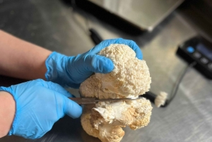 Makars Mushroom Farm Summerhall Tour z samodzielnym przygotowywaniem bloków