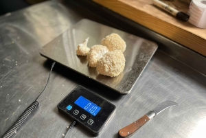 Makars Mushroom Farm Summerhall Tour z samodzielnym przygotowywaniem bloków