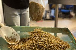 Makars Mushroom Farm Summerhall Tour z samodzielnym przygotowywaniem bloków