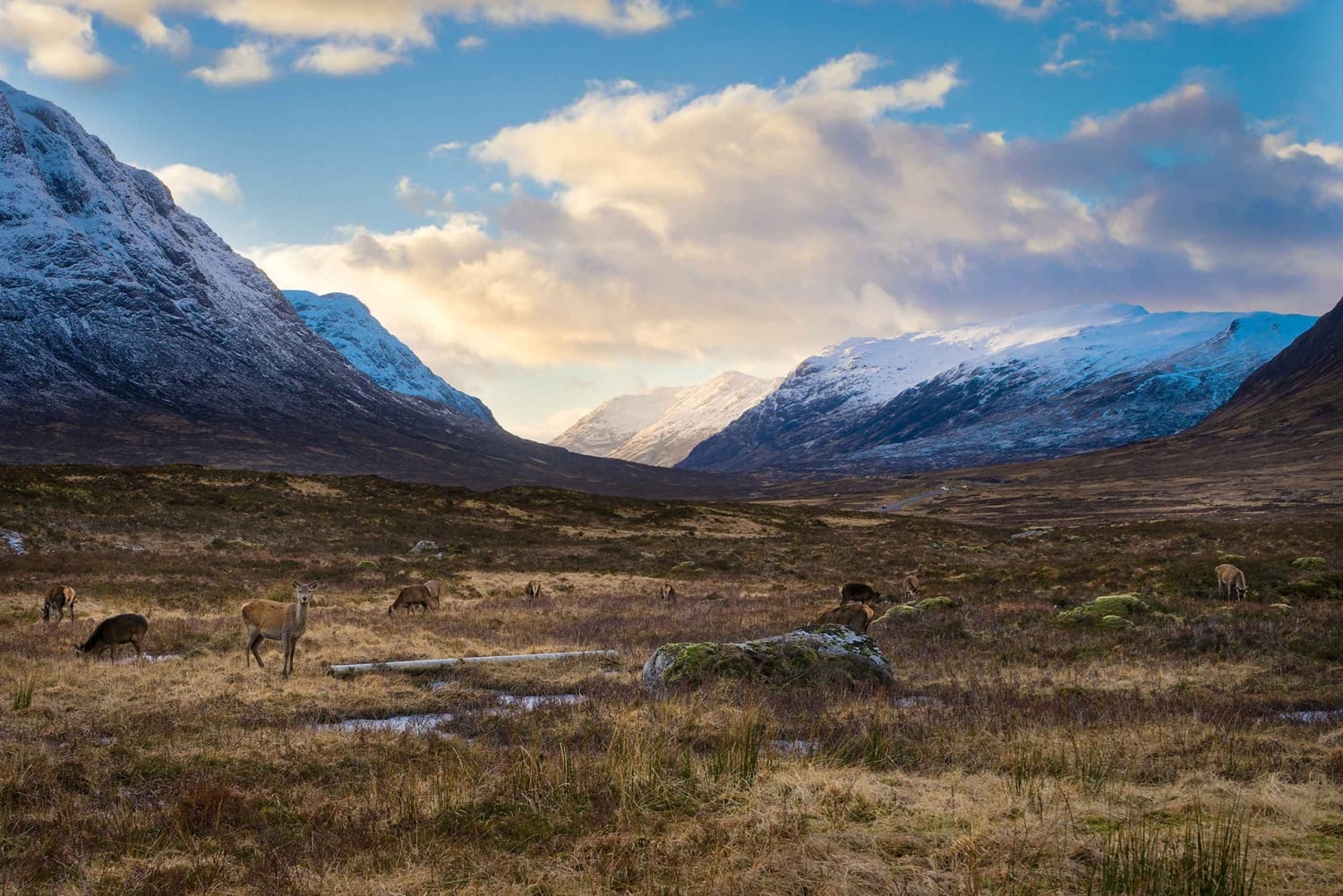 Tour privado de un día de Harry Potter para grupos reducidos