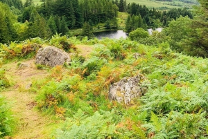 Tour privado de un día de Harry Potter para grupos reducidos